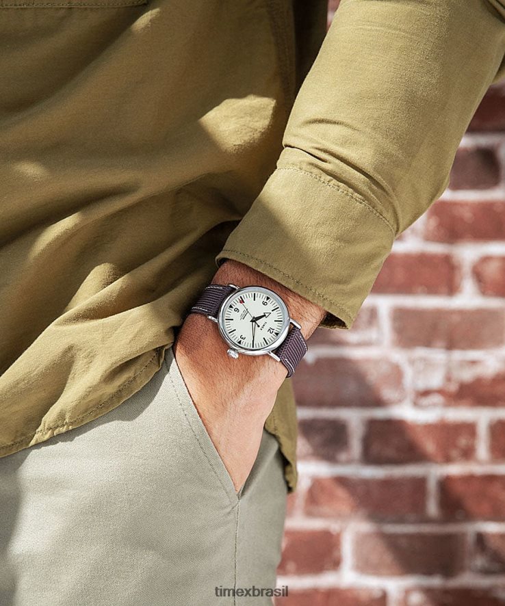 relógios | Timex homens relógio com pulseira de tecido padrão de 40 mm XFN60X191 tom prateado/marrom/creme