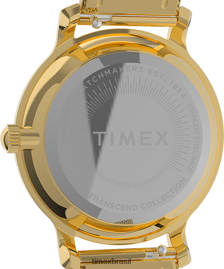 relógios | Timex mulheres transcende celestial relógio com pulseira de aço inoxidável de 31 mm XFN60X379 tom dourado/azul